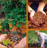 Mind Your Mulch!