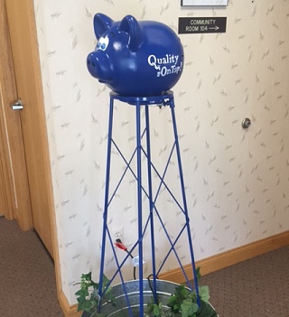 pig